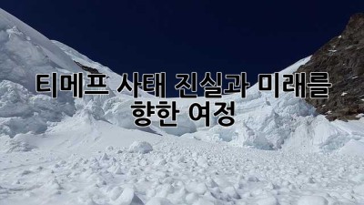 티메프 사태: 진실과 미래를 향한 여정