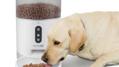 놓치면 후회! IoT고양이🐱 똑똑한 집사템 솔직 후기 & 꿀팁 대방출!
