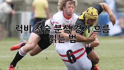 럭비 전술 분석: 경기 흐름 읽는 법